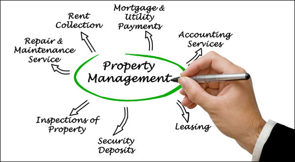 In Popular Demand: Professional Property Management